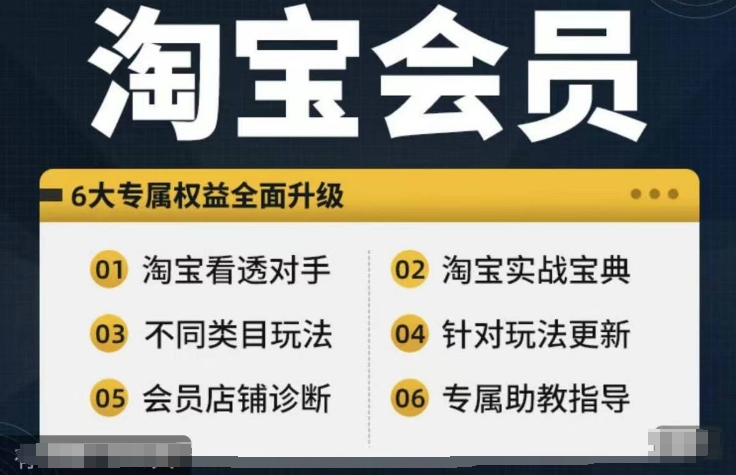 淘宝会员【淘宝所有课程，全面分析对手】，初级到高手全系实战宝典-爱找项目网