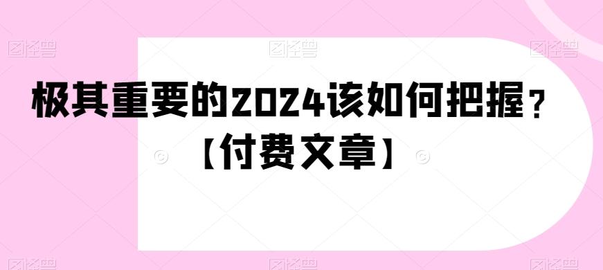 极其重要的2024该如何把握？【付费文章】-爱找项目网