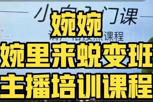 婉婉·婉里来蜕变班（主播课）全方位理解底层逻辑并灵活运用-爱找项目网