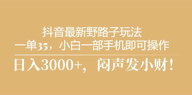 抖音最新野路子玩法，一单35，小白一部手机即可操作，，日入3000+，闷…-爱找项目网