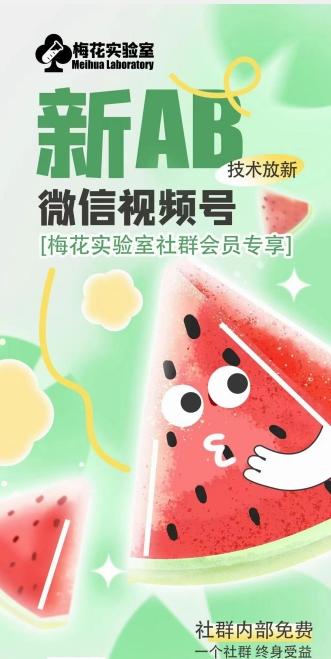 梅花实验室2024年AB技术视频号AB合成破解版-爱找项目网