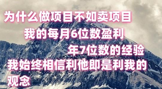 做项目不如卖项目，每月6位数盈利，年7位数经验-爱找项目网