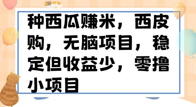 种西瓜赚米，西皮购稳定长久零撸小项目-爱找项目网