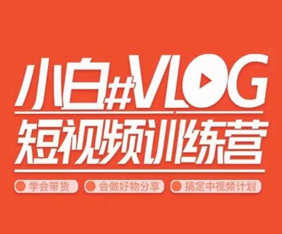 小呆说视–小白VLOG短视频训练营，学会带货、好物、直播、中视频-爱找项目网