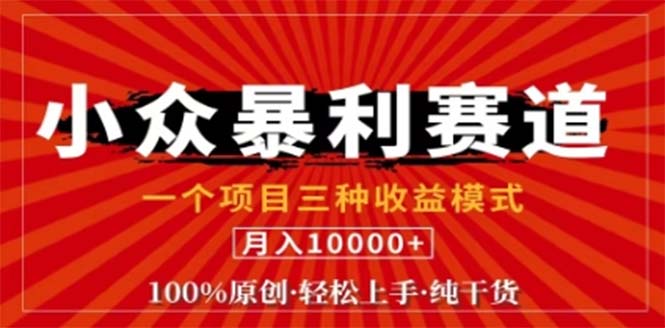 视频号最新爆火赛道，三种可收益模式，0粉新号条条原创条条热门 日入1000+-爱找项目网