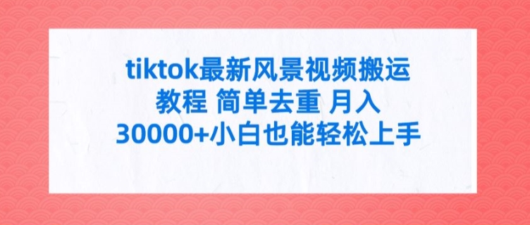 tiktok最新风景视频搬运教程 简单去重 月入3W+小白也能轻松上手【揭秘】-爱找项目网
