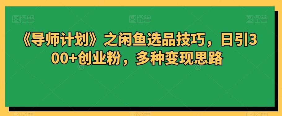 《导师计划》之闲鱼选品技巧，日引300+创业粉，多种变现思路-爱找项目网