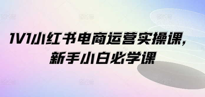 1V1小红书电商运营实操课，新手小白必学课-爱找项目网