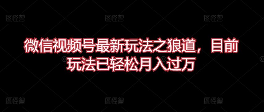 微信视频号最新玩法之狼道，目前玩法已轻松月入过万【揭秘】-爱找项目网