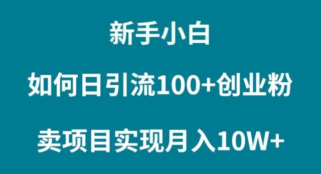 (9556期)新手小白如何通过卖项目实现月入10W+-爱找项目网