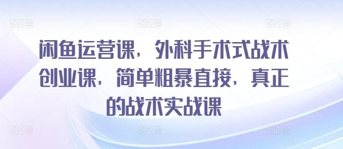 闲鱼运营课，外科手术式战术创业课，简单粗暴直接，真正的战术实战课-爱找项目网