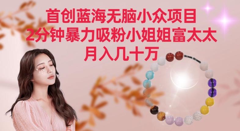 首创蓝海无脑小众项目，2分钟暴力吸粉小姐姐富太太，月入几十万【揭秘】-爱找项目网