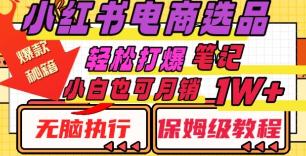 小红书电商爆款选品秘籍，帮你轻松打爆笔记，小白也可轻松月销10000+-爱找项目网