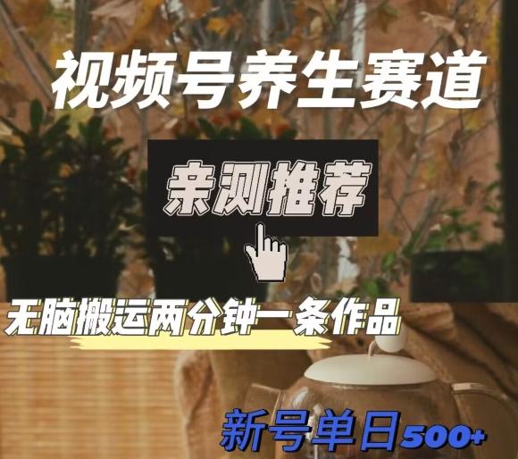 视频号养生赛道暴力掘金，无脑搬运，两分钟一条作品-新日单入500+-爱找项目网