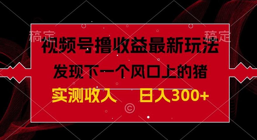 视频号分成计划最新玩法，单条作品几分钟制作完成,日入300+，过年前最后的冲刺-爱找项目网