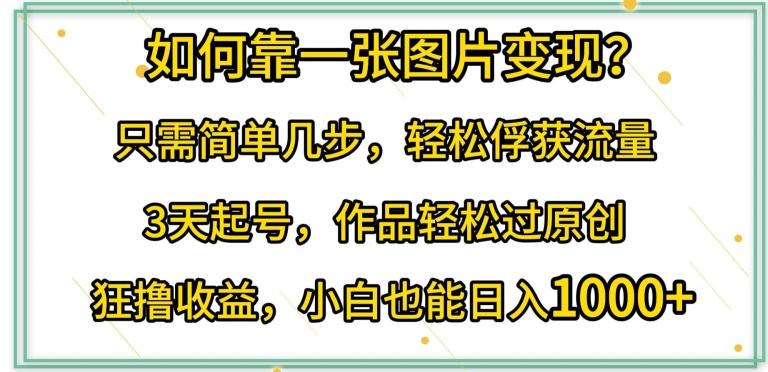 如何靠一张图片变现?只需简单几步，轻松俘获流量，3天起号，作品轻松过原创【揭秘】-爱找项目网