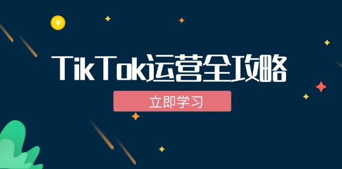 TikTok实战运营全攻略：从下载软件到变现，抖音海外版实操教程-爱找项目网