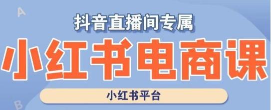 小红书电商高级运营课程，实操教学+案例分析-爱找项目网