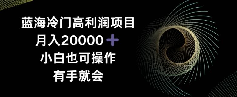 蓝海冷门高利润项目月入2000，小白也可操作有手就会-爱找项目网