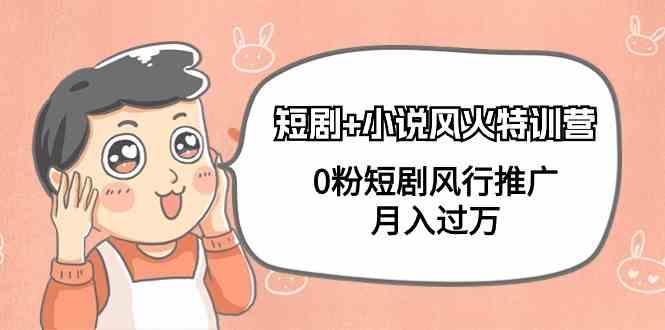 小说+短剧风火特训营，0粉短剧小说风行推广，实现月入过万-爱找项目网